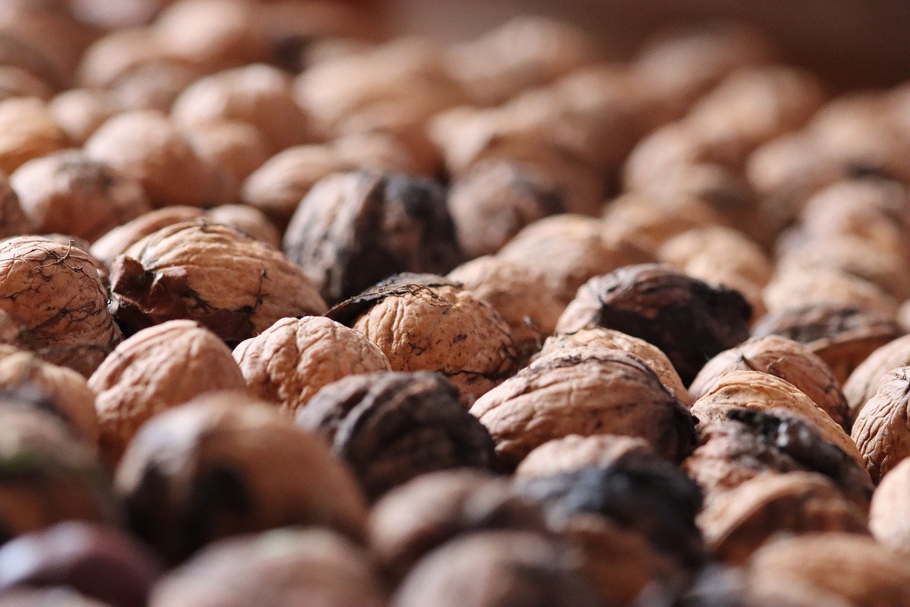 网信移动实名账号：视频软件代理平台